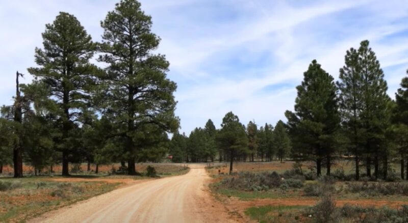 best campground in the world
