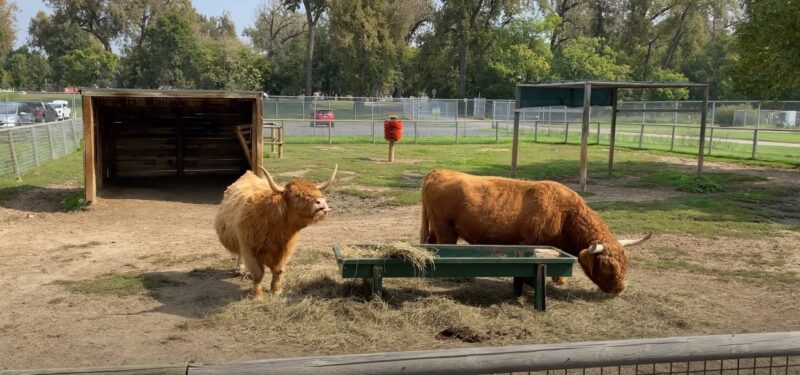 Dakota Zoo at Bismarck